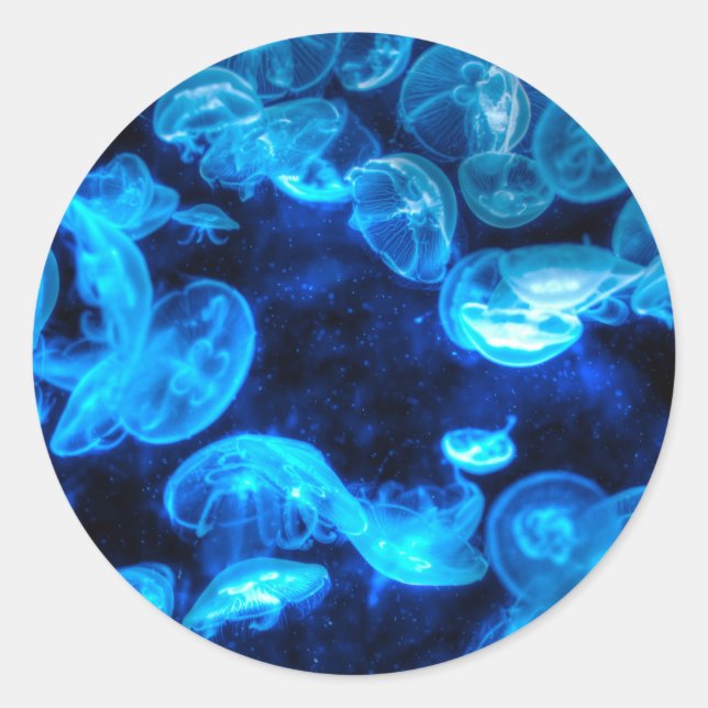 Sticker Rond Nautique Blue Jellyfish Marine Life (Devant)