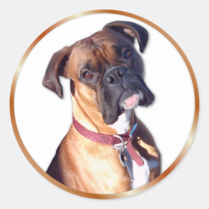 Sticker Rond Ne pars pas