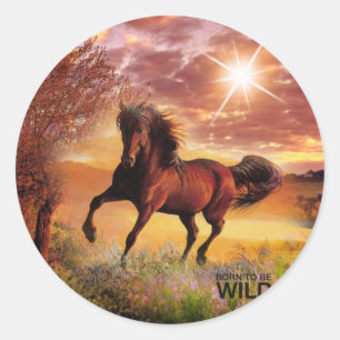Sticker Rond Né Pour Être Sauvage Cheval De Course