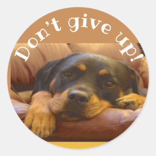 Sticker Rond Ne renoncez pas aux encouragements de Rottweiler