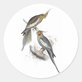 Sticker Rond New Holland Parrakeet par Edward Lear