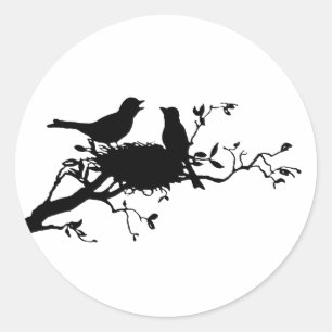 Sticker Rond Nid d'oiseaux