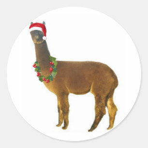 Sticker Rond Noël Alpaca