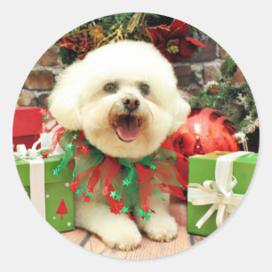 Sticker Rond Noël - Bichon Frise - Mori