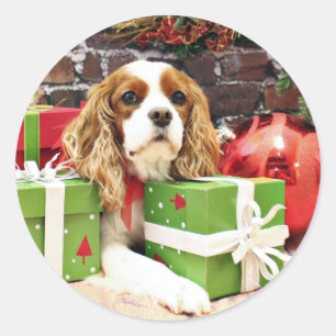 Sticker Rond Noël - Cavalier King Charles Spaniel - Poppy
