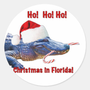 Sticker Rond Noël dans l'autocollant de la Floride