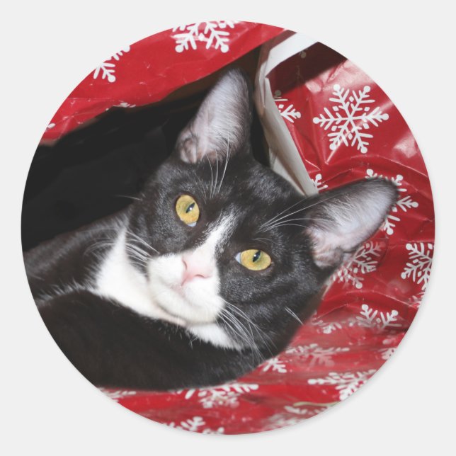 Sticker Rond Noël du chat de Tuxedo (Devant)