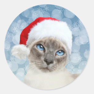 Sticker Rond Noël du chat siamois