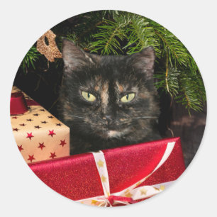 Sticker Rond Noël du chat Toristeshell
