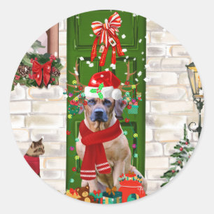 Sticker Rond Noël du chien de Rhodesian Ridgeback
