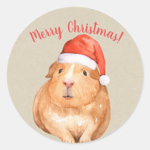 Sticker Rond Noël Hamster Cobaye Pays Férié