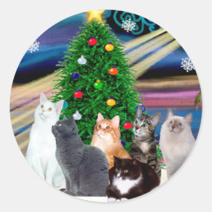 Sticker Rond Noël Magique - Six chats (variété)