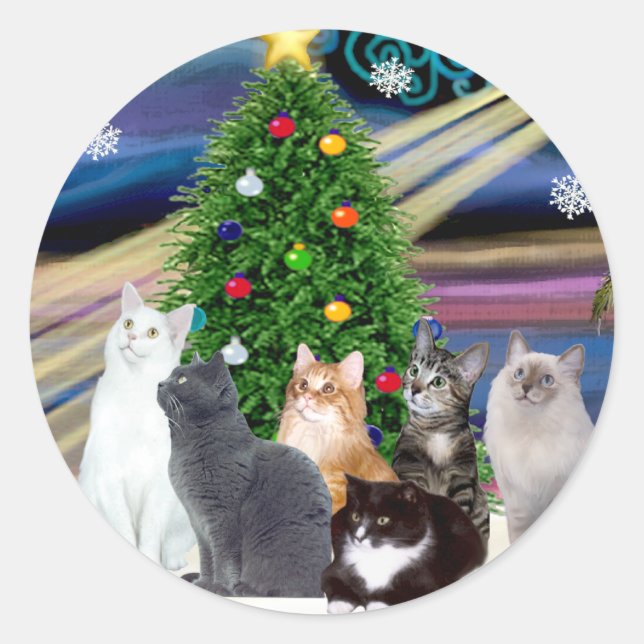 Sticker Rond Noël Magique - Six chats (variété) (Devant)
