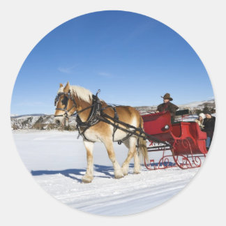 Sticker Rond Noël occidental - Cheval Sleigh de Noël