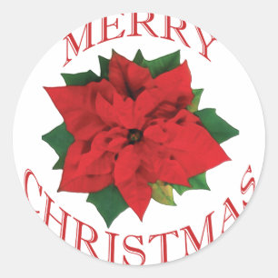 Sticker Rond Noël Poinsetta