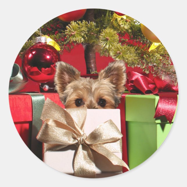 Sticker Rond Noël Yorkie (Devant)