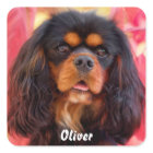 Noir et Tan Cavalier King Charles Spaniel Chien