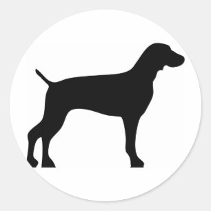 Sticker Rond noir weimaraner