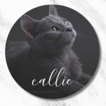 Nom de la photo du chat de familier