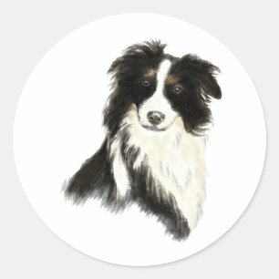 Sticker Rond Nom personnalisé texte Bordure Collie chien animal