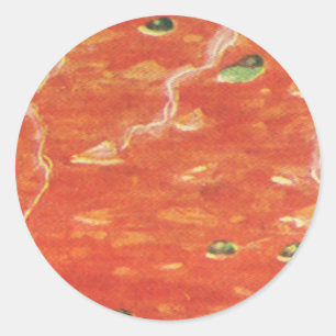 Sticker Rond Nourriture vintage, bol chaud de soupe de tomates