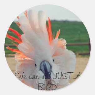Sticker Rond Nous ne sommes pas SIMPLEMENT UN OISEAU !