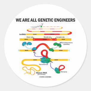 Sticker Rond Nous sommes tous les ingénieurs génétiques