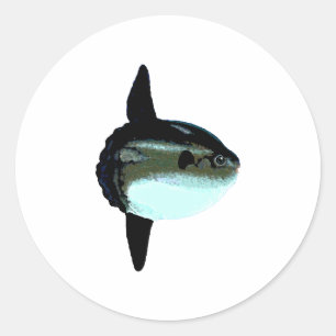 Sticker Rond Océan Sunfish - Mola Mola