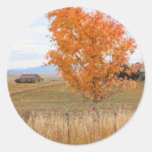 Sticker Rond Octobre lumineux