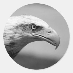 Sticker Rond Oeil d'aigle noir et blanc