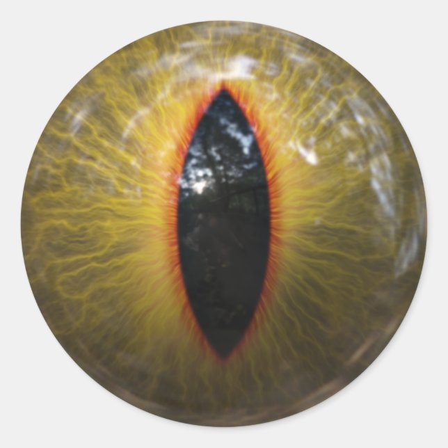 Sticker Rond Oeil de chat (Devant)