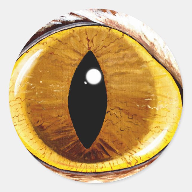 Sticker Rond Oeil de chat peint (Devant)