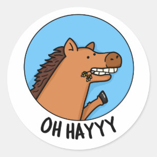 Sticker Rond Oh Hayyyyy Funny Horse Pun