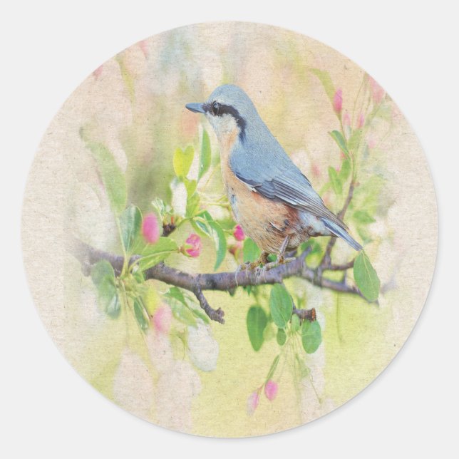 Sticker Rond Oiseau (Devant)