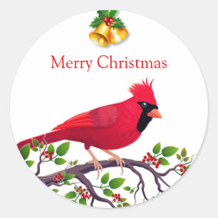 Sticker Rond Oiseau cardinal rouge de Noël