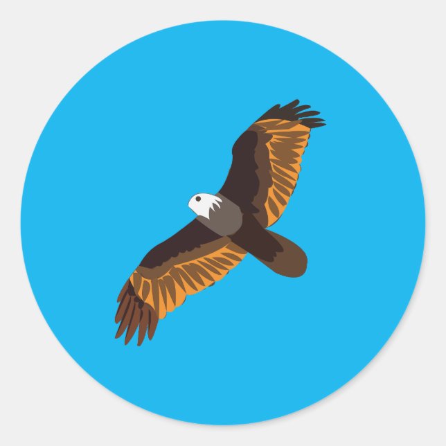 Sticker Rond Oiseau d'aigle volant (Devant)