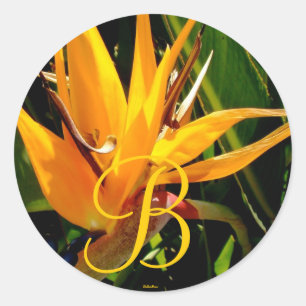 Sticker Rond Oiseau de mariage tropical du Paradis Monogramme B