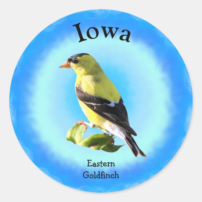 Sticker Rond Oiseau d'État de l'Iowa (Devant)