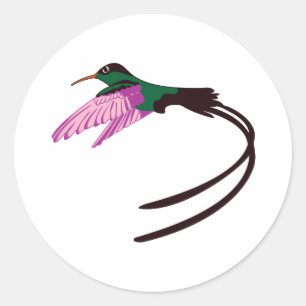 Sticker Rond Oiseau jamaïcain
