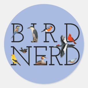 Sticker Rond Oiseau Nerd