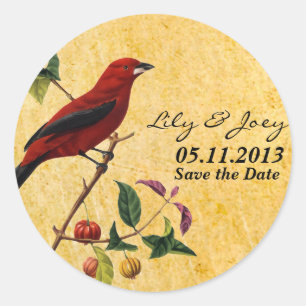 Sticker Rond Oiseau rouge
