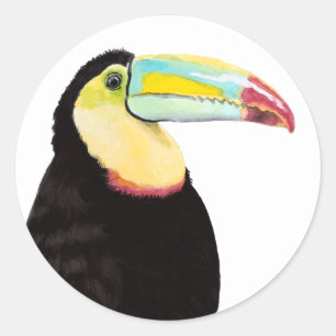 Sticker Rond Oiseau tropical Toucan