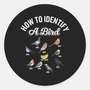 Sticker Rond Oiseaux Comment Identifier Un Oiseau Oiseau