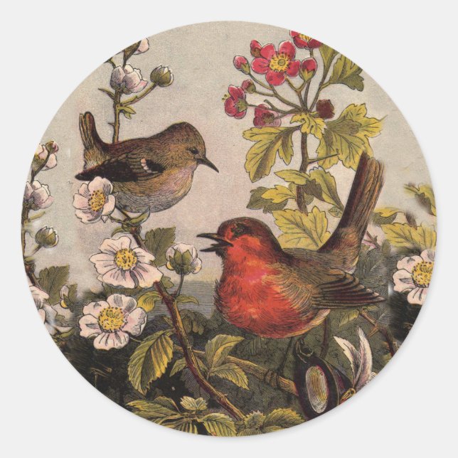 Sticker Rond Oiseaux de printemps Robin Oiseaux rouges (Devant)