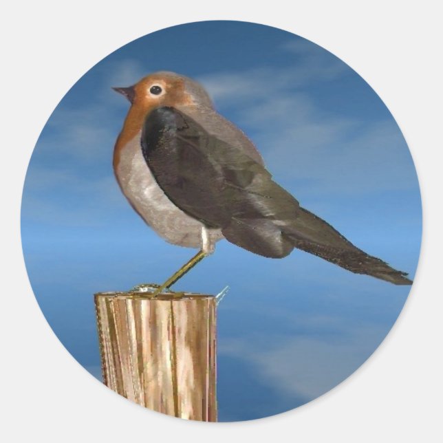 STICKER ROND OISEAUX HYPER / ROBIN BREAST ROUGE (Devant)
