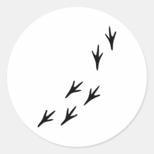 Sticker Rond Oiseaux - Pistes
