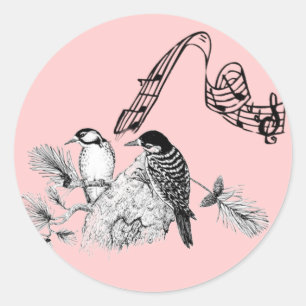 Sticker Rond Oiseaux vintages