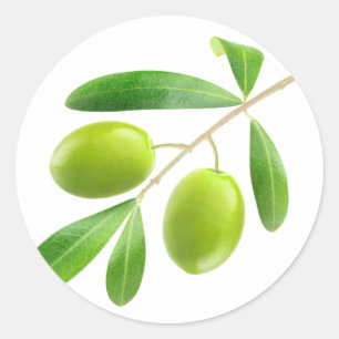 Sticker Rond Olives vertes sur une branche
