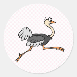 Sticker Rond Ollie Ostrich