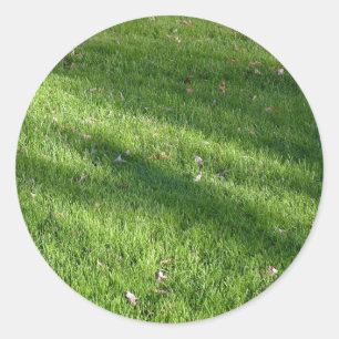 Sticker Rond Ombres dans l'herbe